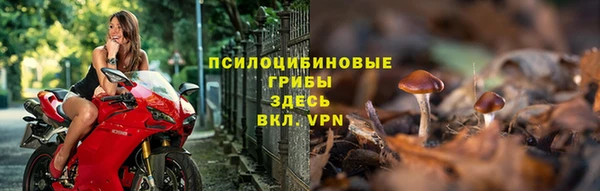 спайс Алзамай
