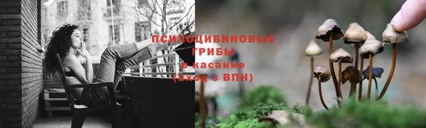 дживик Алексеевка