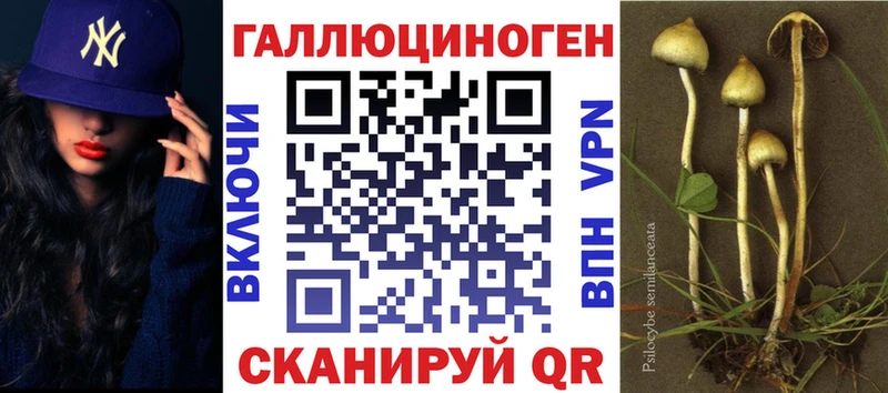 дарнет шоп Дыгулыбгей блэк спрут вход Галлюциногенные грибы прущие грибы